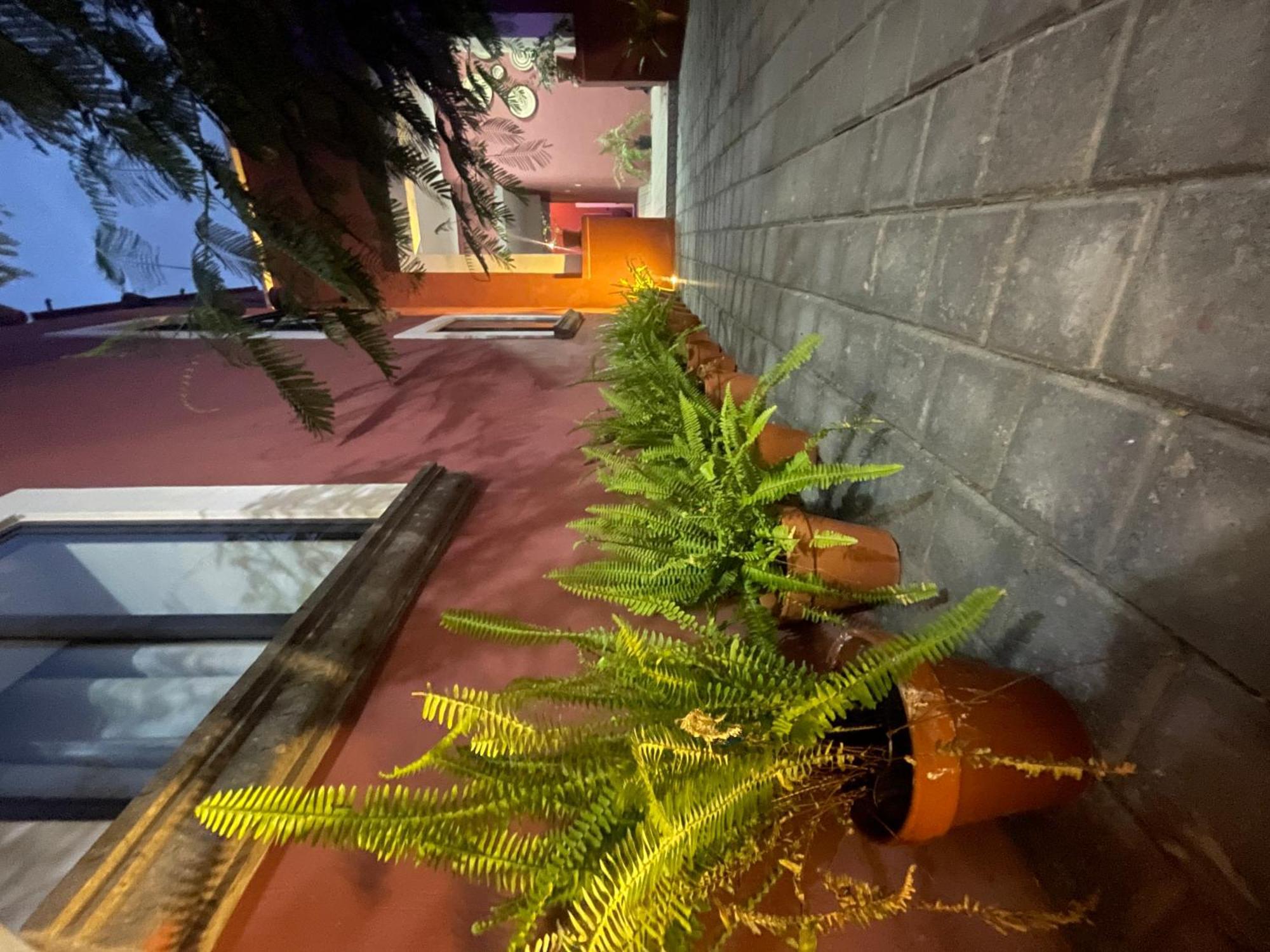 Quinta La Perla Hostel Guadalajara Luaran gambar
