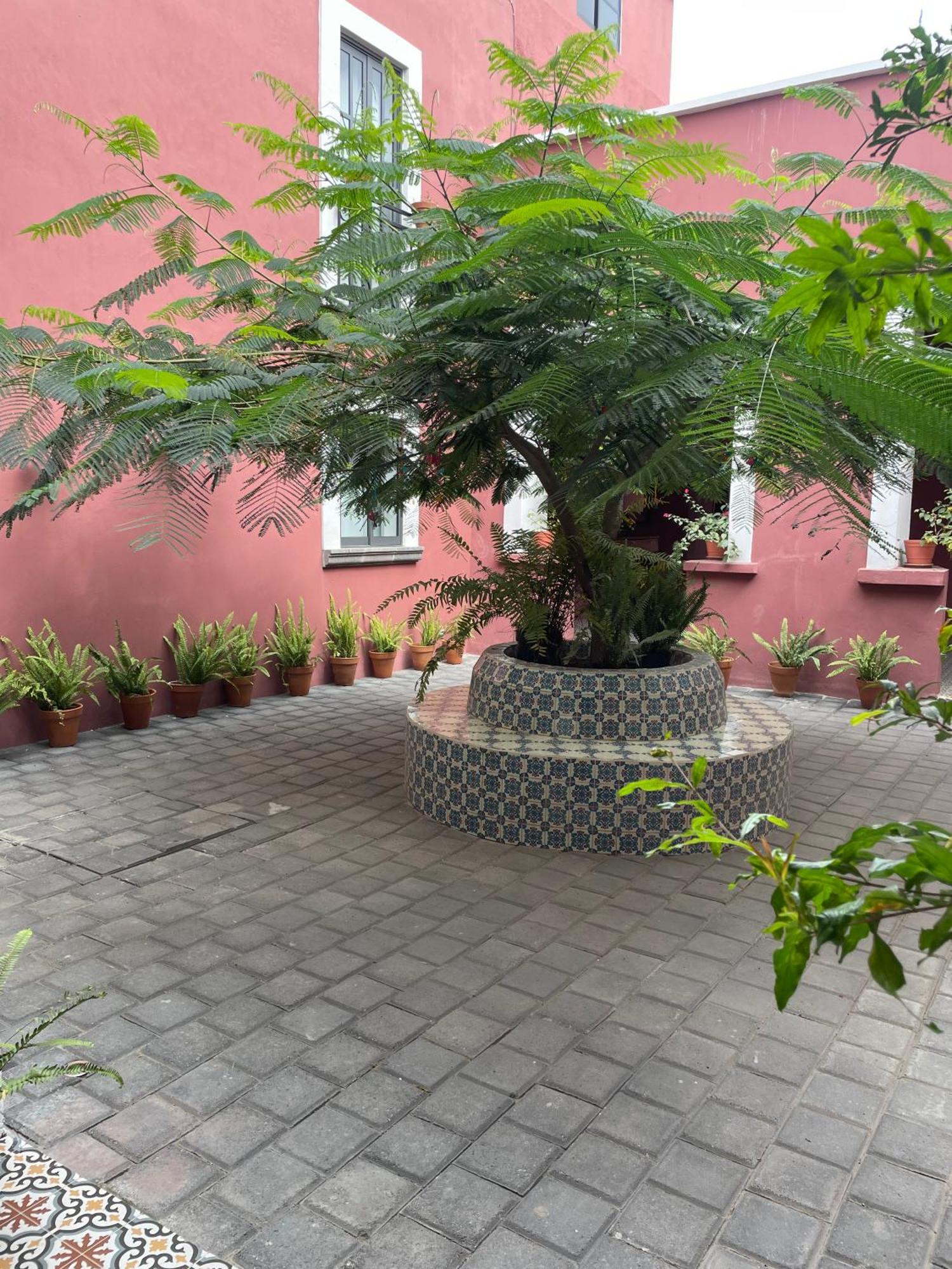 Quinta La Perla Hostel Guadalajara Luaran gambar